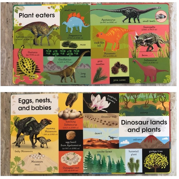 DK Book - “100 First Dinosaur Words” with 46 Plastic Dinosaurs of Various Sizes - Picture 4 of 9